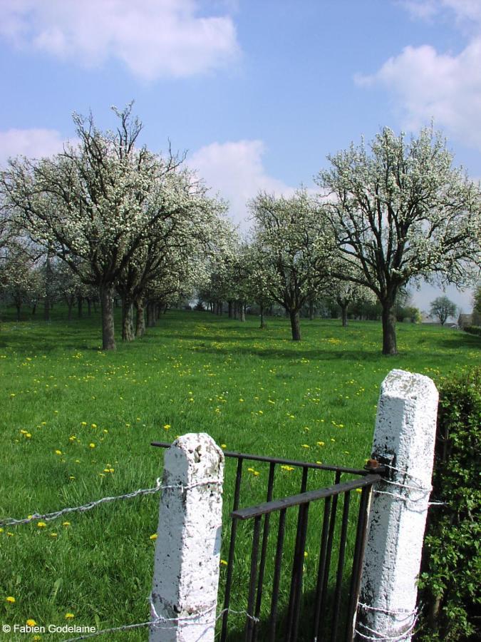 O Macra B&B - Aubel, Pays De Herve Dış mekan fotoğraf